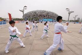 FIFA2026官方网站入口 乒乓球台面什么木材
